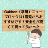 Gakken（学研）ニューブロックは1歳児からおすすめです！たっぷりバラエティBOXは安全性が高くて買って良かった
